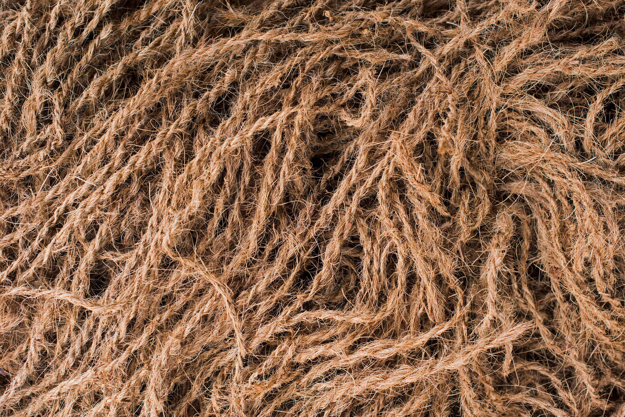 coir-1